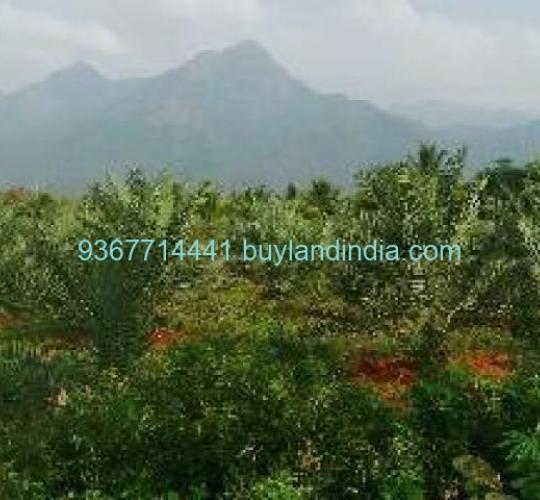Low Budget Land for Sale in Neelambur Coimbatore