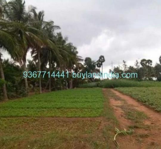 Agricultural Farm Building with land sale buy in Neelambur Coimbatore