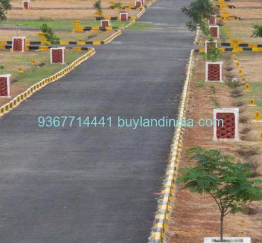 Plots Sale Residential site property sale in Pappampatti