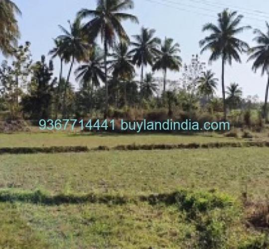 43 Acre Agriculture Farm land for Sale in Mysore Tamilnadu