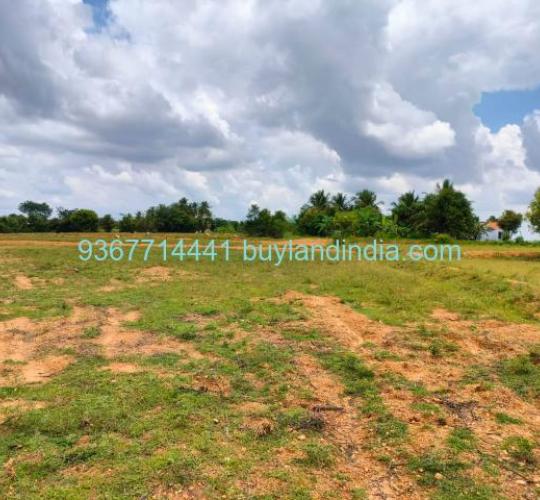 3 Cent Residential Plot for Sale at Best Price in Neelambur