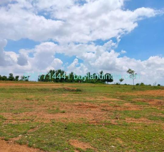 2 Acre Agriculture Property Buy in Neelambur