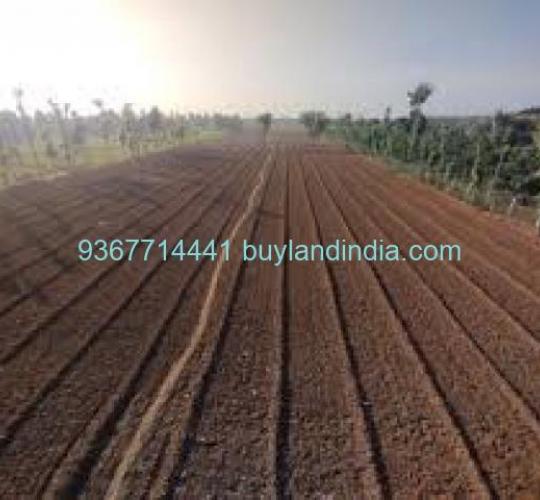 Land for sale 100 to 150 acres sale or buy in Ariyalur