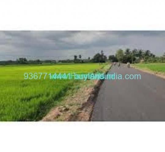 Land for sale 100 to 150 acres sale or buy in Chengalpattu