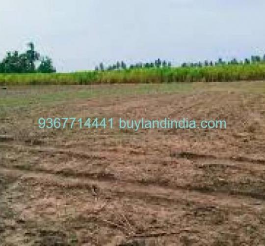 Land for sale 100 to 150 acres sale or buy in Cuddalore