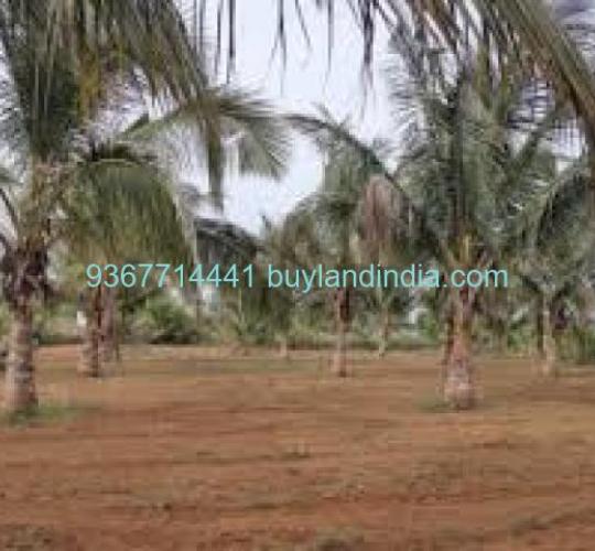 Land for sale 100 to 150 acres sale or buy in Dharmapuri