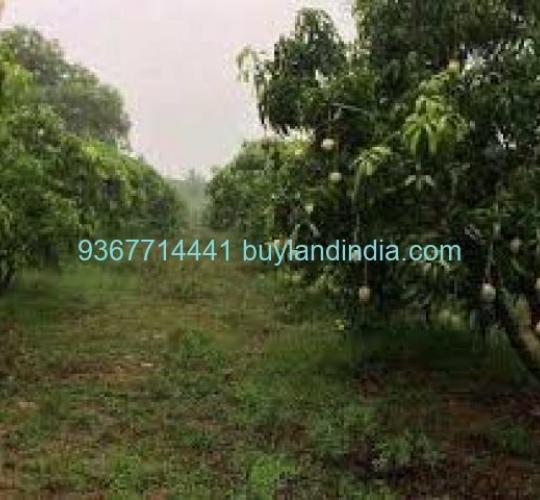 Land for sale 100 to 150 acres sale or buy in Dindigul
