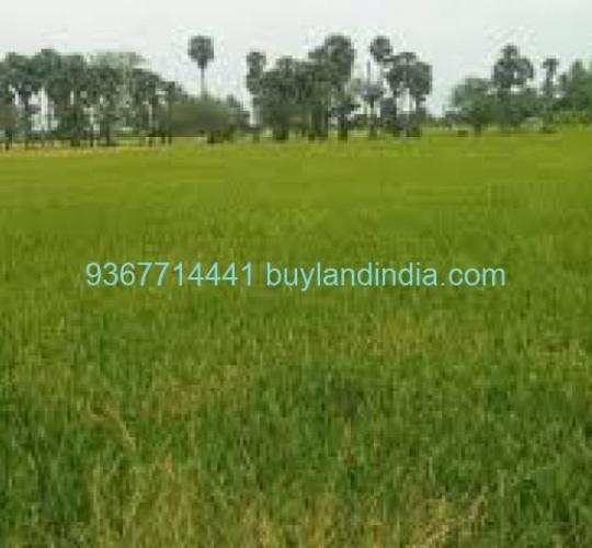 Land for sale 100 to 150 acres sale or buy in Kancheepuram