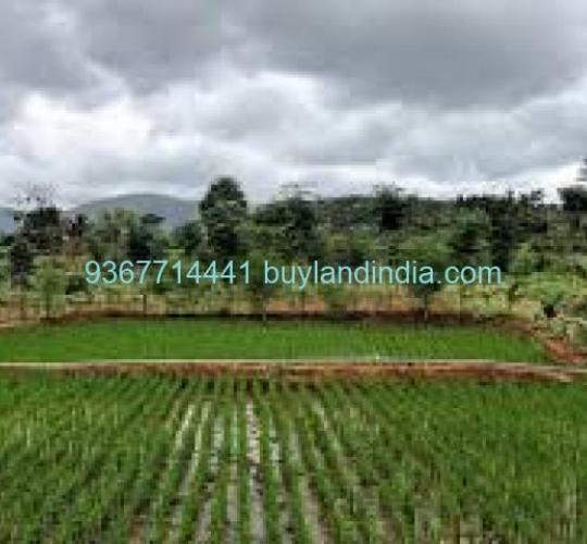 Land for sale 100 to 150 acres sale or buy in Krishnagiri