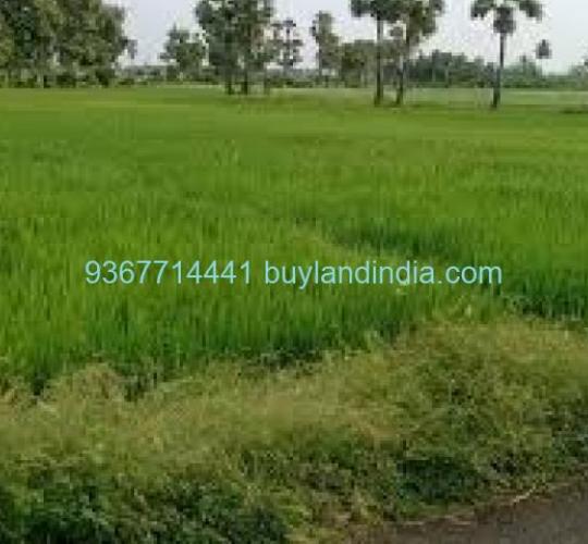 Land for sale 100 to 150 acres sale or buy in Madurai