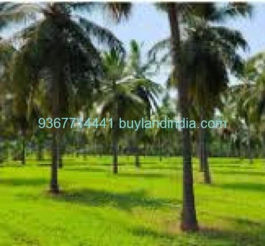 Land for sale 100 to 150 acres sale or buy in Namakkal