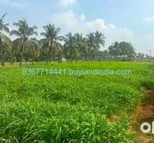 Land for sale 100 to 150 acres sale or buy in Perambalur