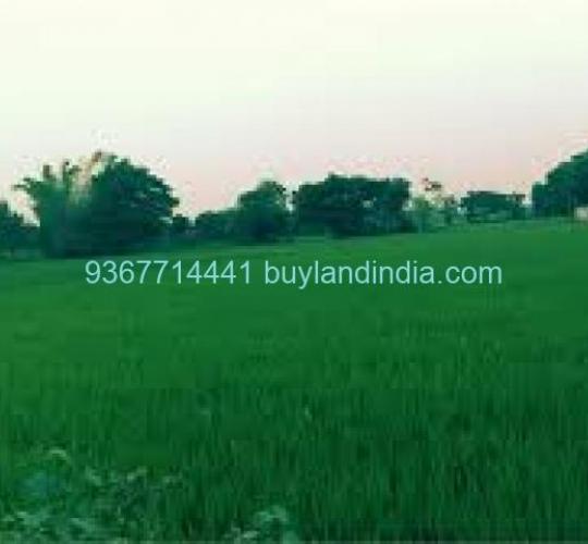 Land for sale 100 to 150 acres sale or buy in Pudukkottai