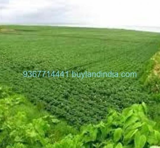 Land for sale 100 to 150 acres sale or buy in Ramanathapuram