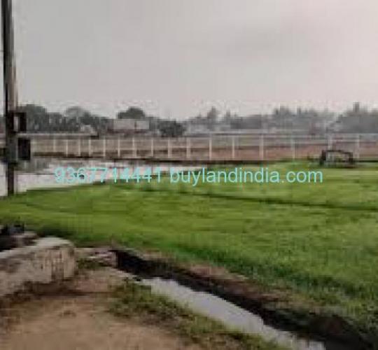 Land for sale 100 to 150 acres sale or buy in Ranipet