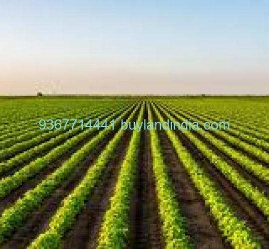 Land for sale 100 to 150 acres sale or buy in Sivaganga