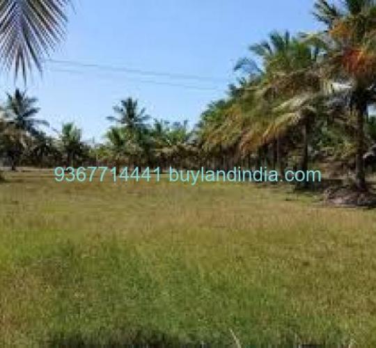 Land for sale 100 to 150 acres sale or buy in Thanjavur
