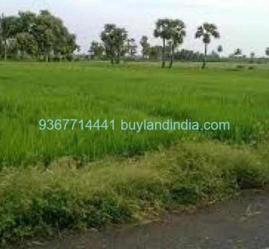 Land for sale 100 to 150 acres sale or buy in Thoothukudi