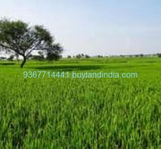 Land for sale 100 to 150 acres sale or buy in Tiruchirappalli