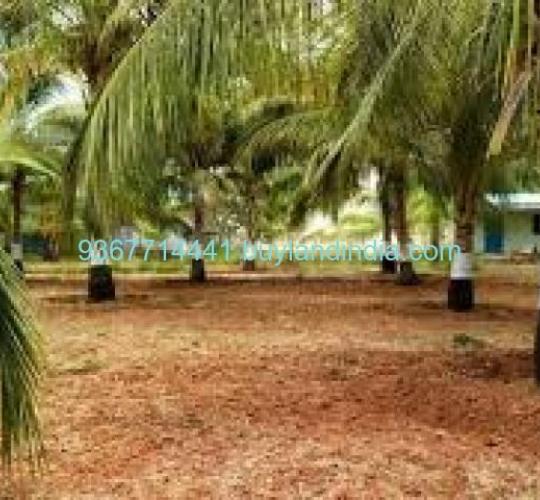 Land for sale 100 to 150 acres sale or buy in Tirunelveli