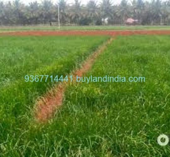 Land for sale 100 to 150 acres sale or buy in Tiruppur