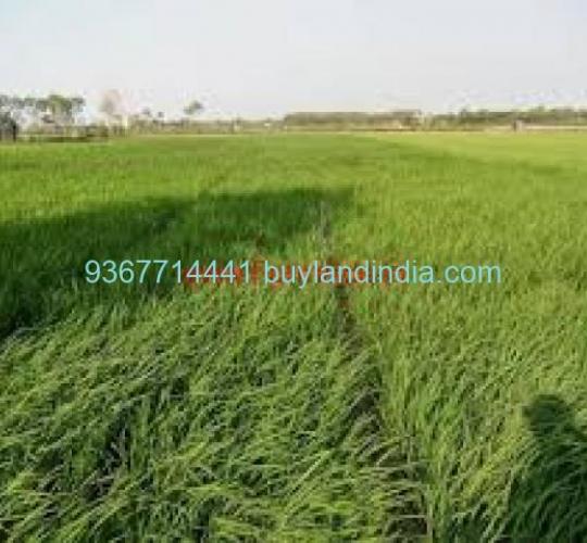 Land for sale 100 to 150 acres sale or buy in Tiruvallur