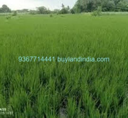 Land for sale 100 to 150 acres sale or buy in Tiruvannamalai