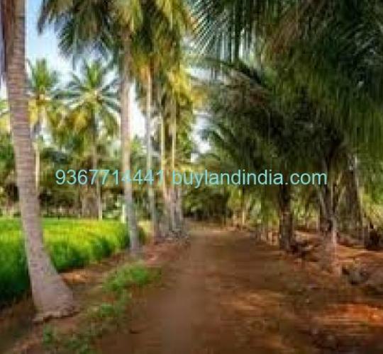 Land for sale 100 to 150 acres sale or buy in Vellore