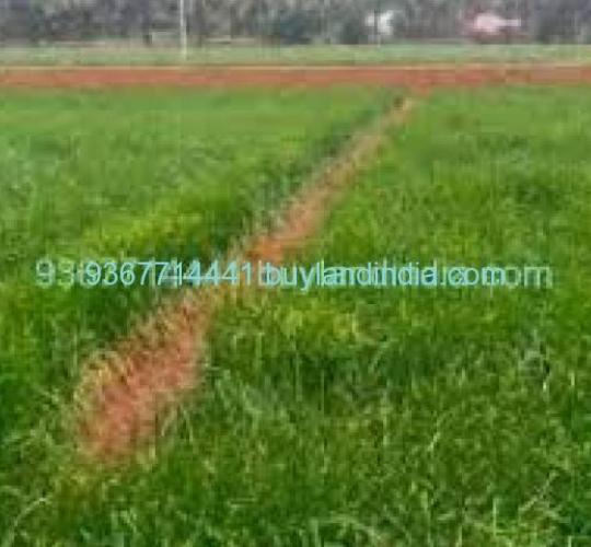 Land for sale 100 to 150 acres sale or buy in Viluppuram