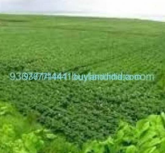 Land for sale 100 to 150 acres sale or buy in Coimbatore